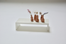 Set of 5 Terracotta vases with dried flowers