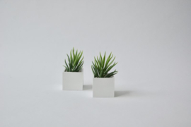Plantbox white square 1:6