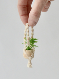 Macrame plantenhanger incl plant in pot