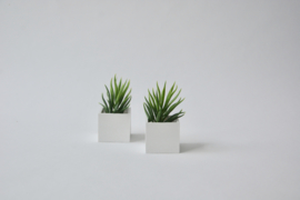 Plantenbak “white” vierkant