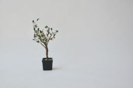 Pink blossom tree in black pot