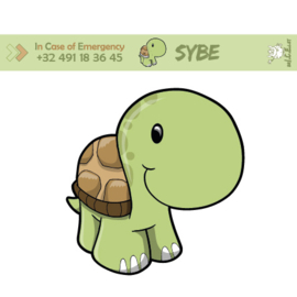 brICElet schildpad