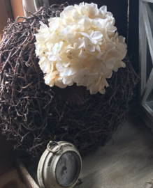 Crème Hortensia