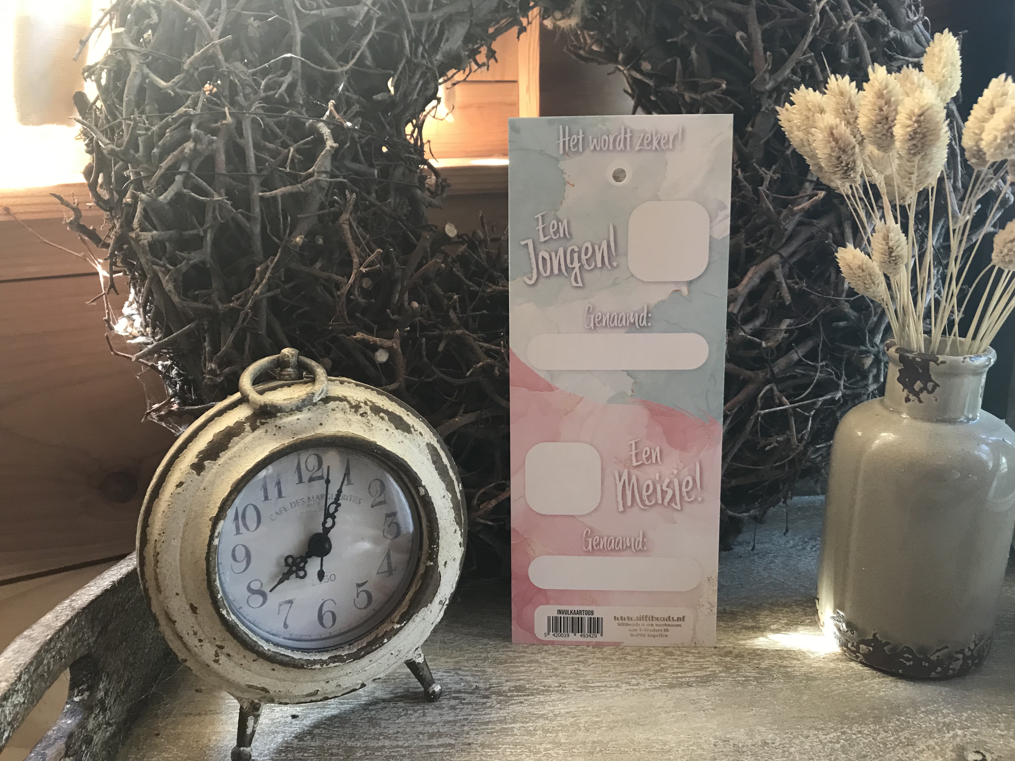Invulkaarten Gender Reveal