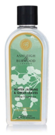 Winter Jasnin & Green Leaves