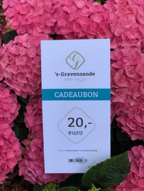 Cadeaubon 's-Gravenzande €20,-