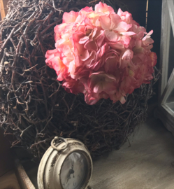 Roze Hortensia