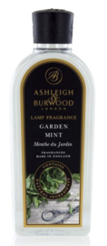 Garden Mint