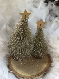 Kerstboompjes op stam