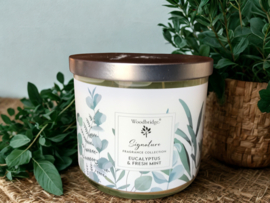 Eucalyptus & Fresh Mint
