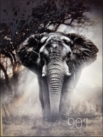 Olifant
