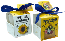 Proficiat