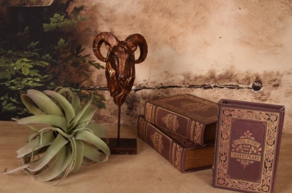 Boekendoos 23 cm Shakespeare
