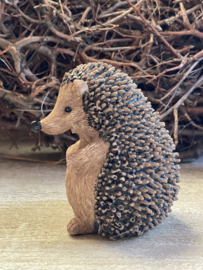Egel