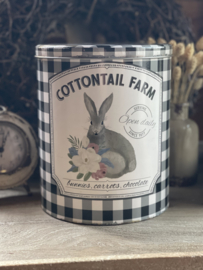 Bewaarblik Bunny L