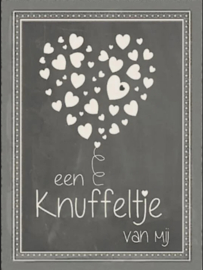 Een knuffeltje