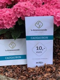 Cadeaubon 's-Gravenzande Stad aan Zee