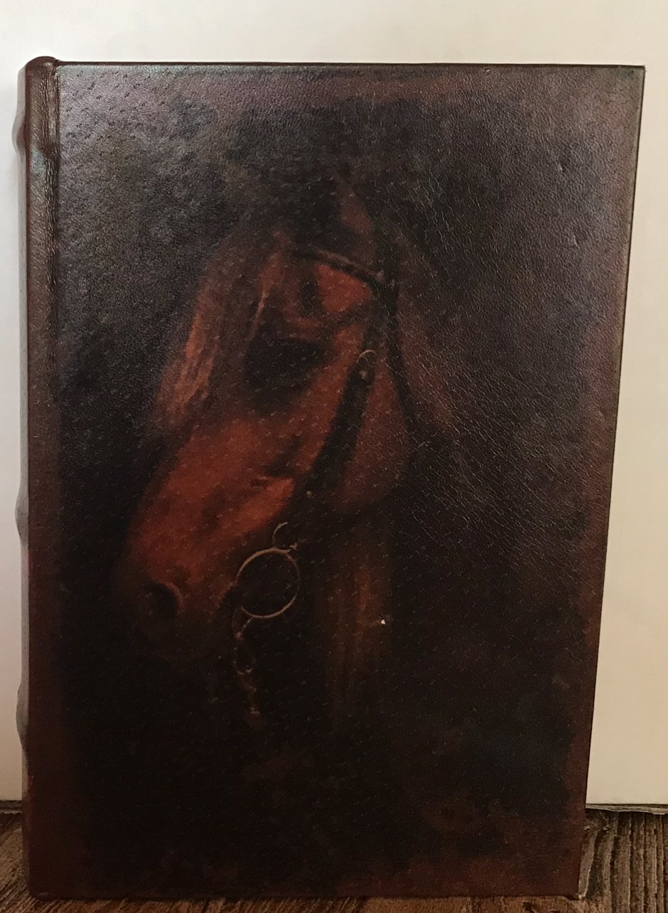 Boekendoos 20 cm Paardenhoofd