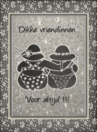 Dikke vriendinnen