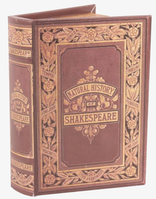 Boekendoos 23 cm Shakespeare