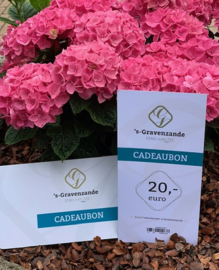 Cadeaubon 's-Gravenzande €20,-