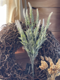 Lavendel  Creme