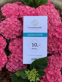 Cadeaubon 's-Gravenzande €10,-