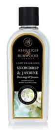 Snowdrop & Jasmine