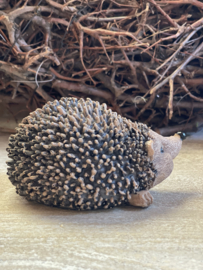 Egel