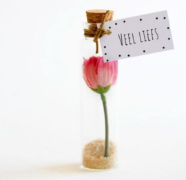 Veel liefs