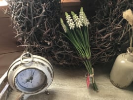 Bosje witte druifjes