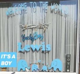 Welcome to the world
