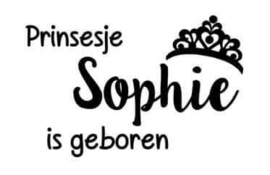 Geboortesticker prinsesje