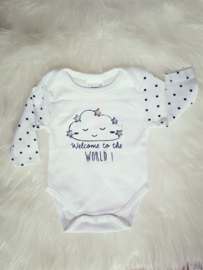 Milestones Bodysuits