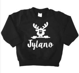 Sweater rendier naam