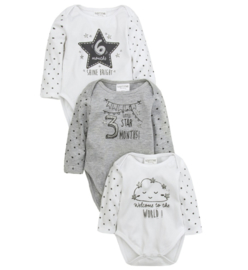 Milestones Bodysuits