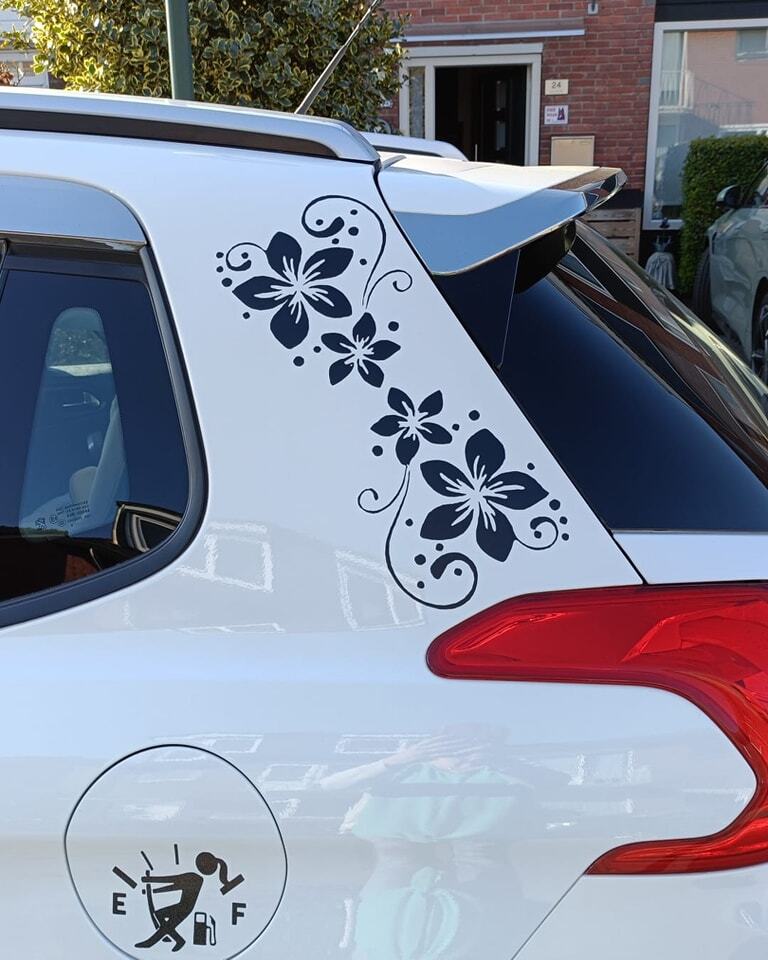 Een tevreden klantje met haar auto stickers