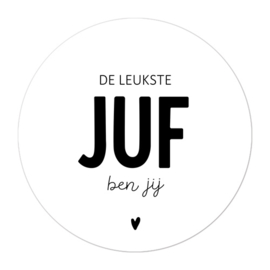 Magneten | De leukste juf ben jij | 3 stuks