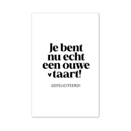 Mini kaartje | Je bent nu echt een ouwe taart | 5 stuks