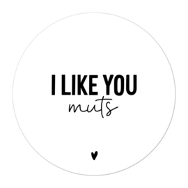 Magneten | I like you muts | 3 stuks