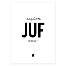 Kaart | Dag lieve juf bedankt | 5 stuks