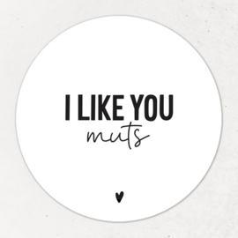 Magneten | I like you muts