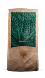 Essential - Stamina - 12 KG
