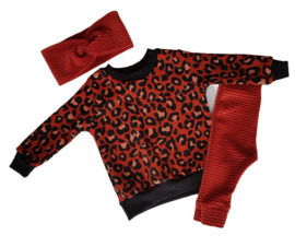 Sweater leopard terra