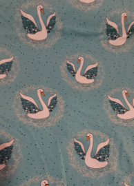 tricot zwaan blauw