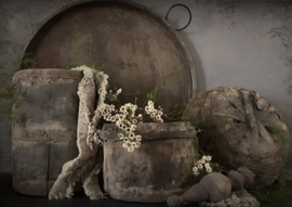 Spatscherm | Houten Potten met Bloemetjes