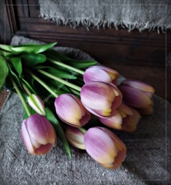 Bosje van 5 Kunst Tulpen | Aubergine