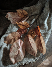 Kunst Herfsttak "Morus" Licht Bruin