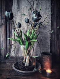 Bosje Kunst Tulpen | Gebleekt Zwart 5 stelen 44 cm