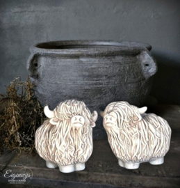 Set van 2 Schotse Hooglanders | Taupe